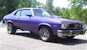Purple 74 GTO