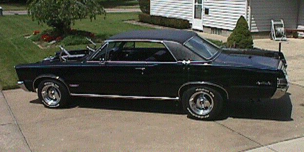 Black 65 GTO
