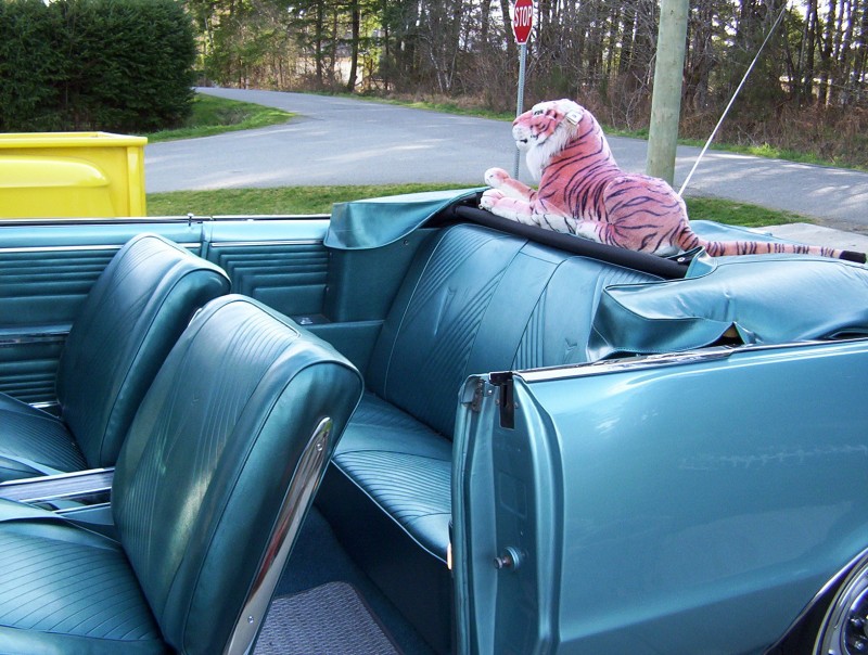 1965 GTO Interior