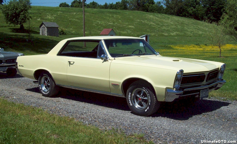 Yellow 65 GTO