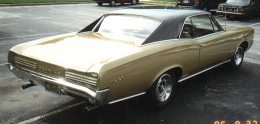 gold 66 GTO