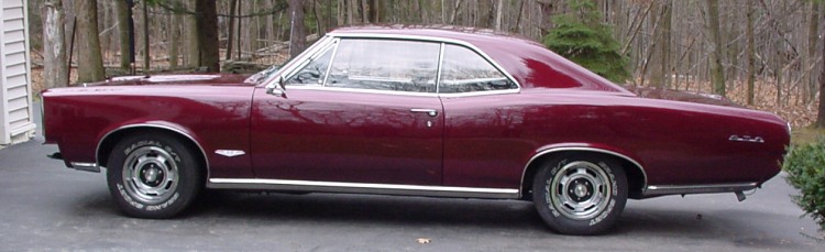 burgundy 66 GTO