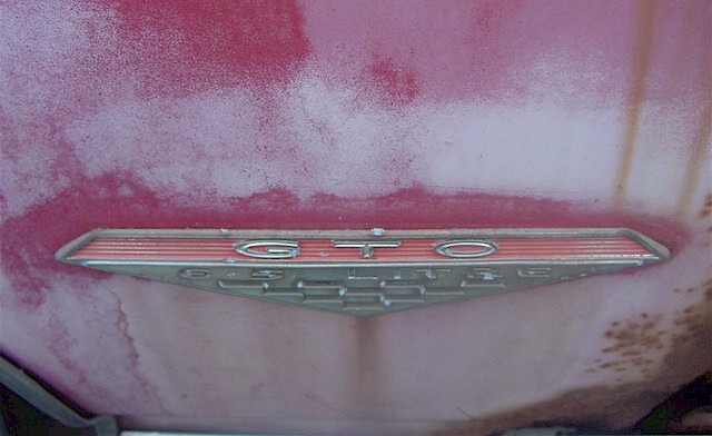 66 with Potiential