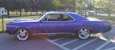 Purple 67 GTO