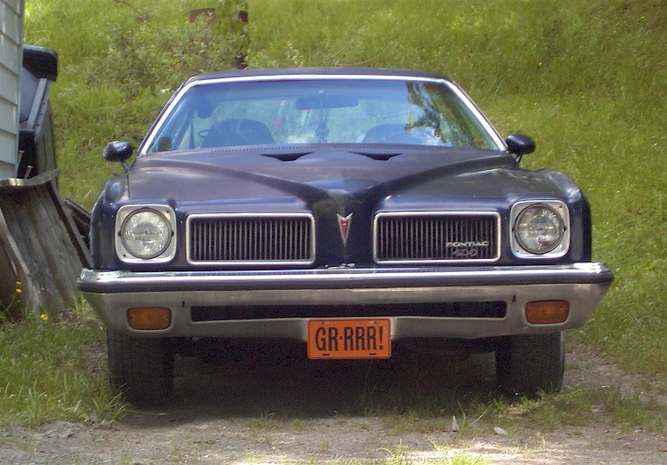 Blue 1973 LeMans
