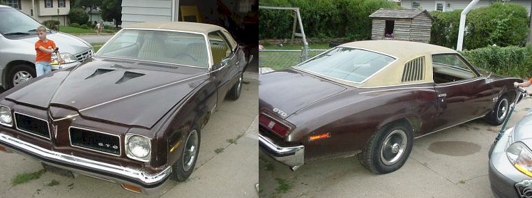 Brown 1973 GTO