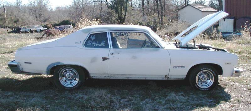 white 74 GTO