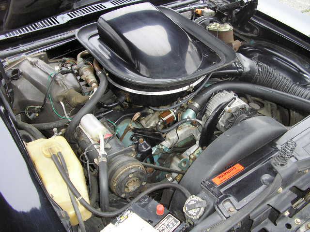 74 GTO Engine View