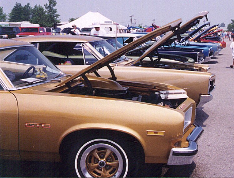 gold 74 GTO