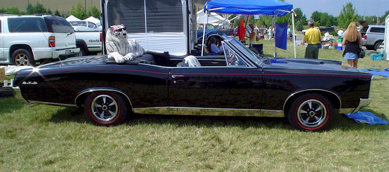Black 67 GTO Convertible