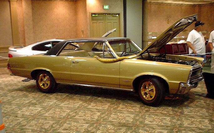 Tiger Gold 1965 GTO