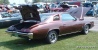 Brown 73 Grand Am