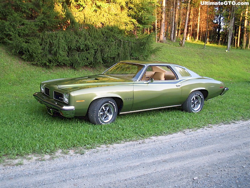 1973 Used Pontiac Lemans . at