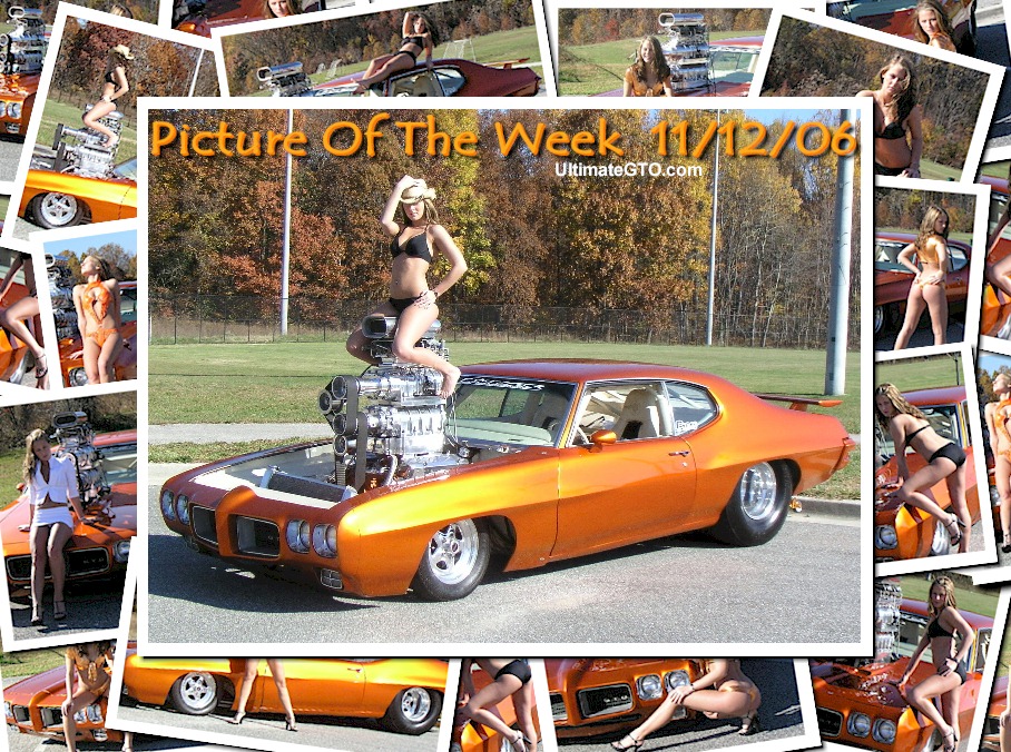 Orange 1970 Judge Hardtop Ultimate Pontiac GTO Photo Detail